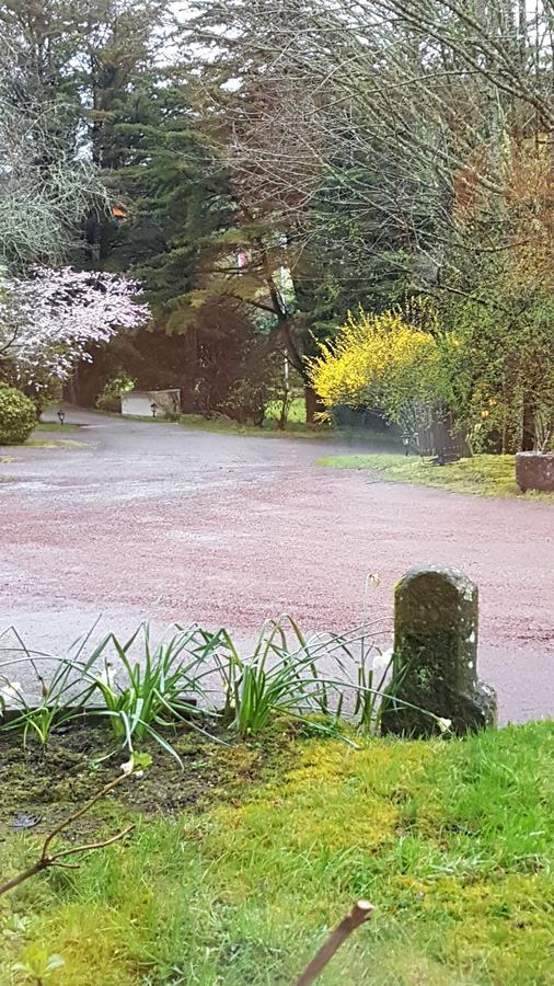 Le Manoir Du Rodoir Otel La Roche-Bernard Dış mekan fotoğraf